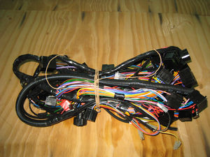 Жгуты передние (правый, левый)