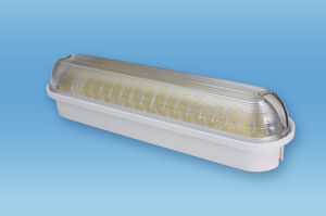 Светильник СдБО 98–8-001 «Антивандальный» 