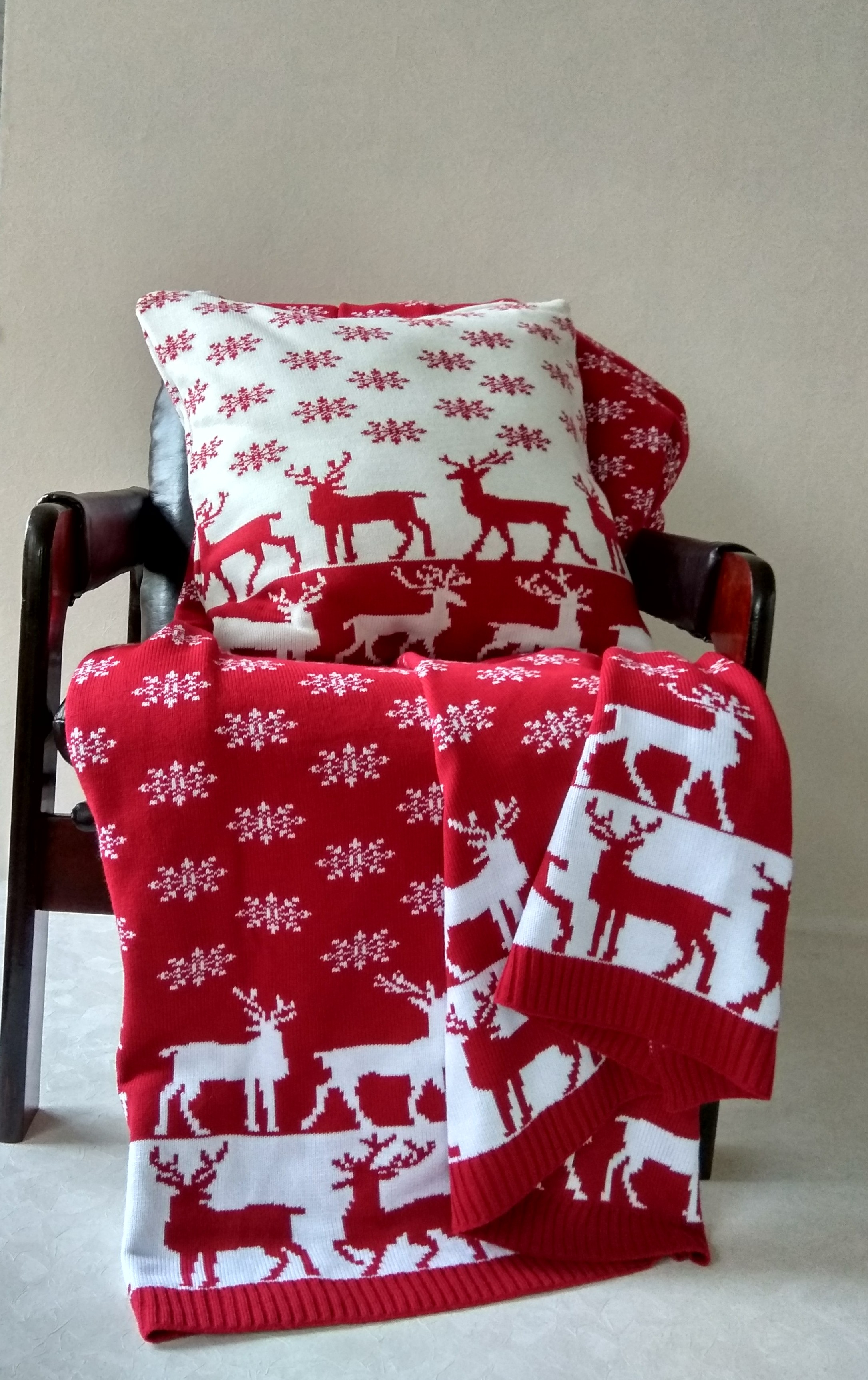 Плед и чехол для подушки