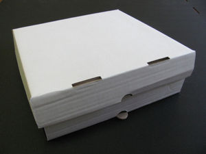 Коробка для пиццы 250х250х45