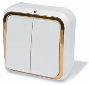 Выключатель двухклавишный открытой установки,с подсветкой, серия Москвичка, цвет белый с рамкой под золото