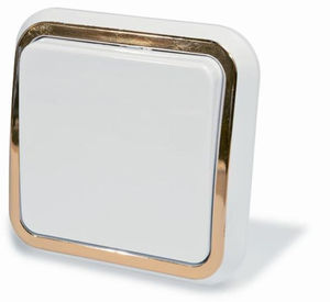 Выключатель скрытой установки одноклавишный, серия Москвичка, цвет белый с рамкой под золото