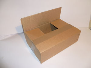 Ящик картонный (упаковочный)