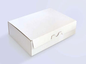 Папка архивная А3