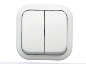 Выключатель открытой установки двухклавишный А56-025 "З"