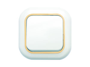 Выключатель скрытой установки одноклавишный С16-040 "З"