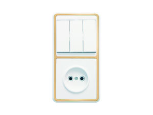 Блок комбинированный скрытой установки (3клавишный выключатель+розетка) БКВР-039"З"