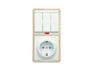 Блок комбинированный скрытой установки (3клавишный выключатель с подсветкой +розетка с заземляющим контактом, защитной шторкой) БКВР-209 "З"