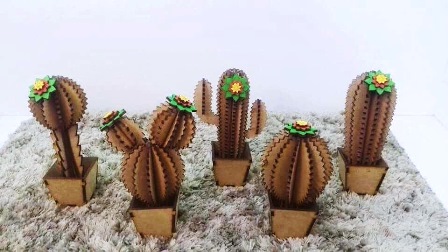 Кактусы 