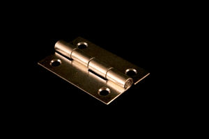 Петля карточная 30х50 (кор) х500