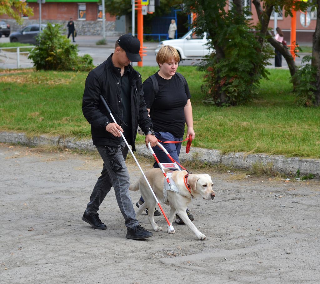 На маршруте с собакой-проводником