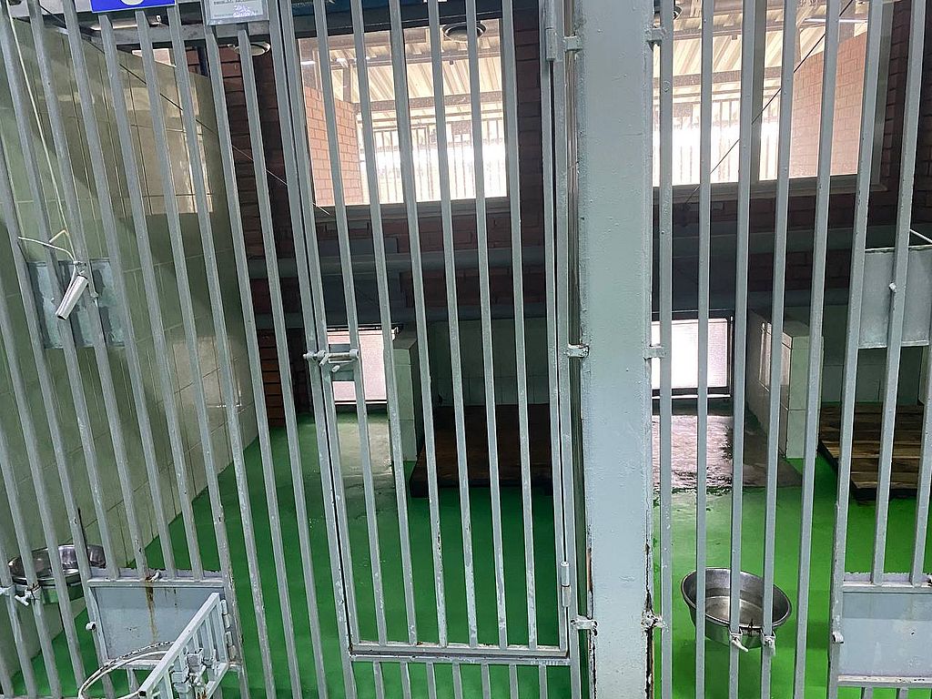 вольеры собак